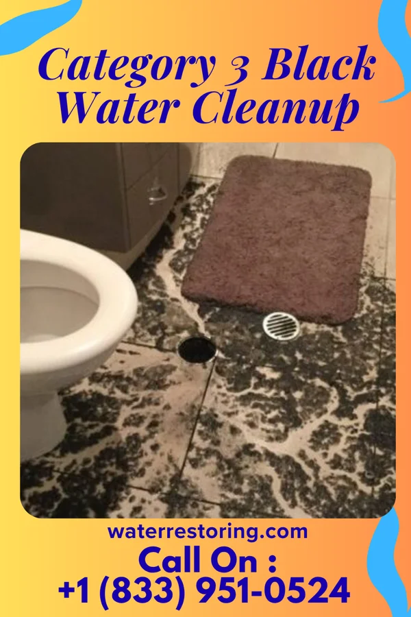 Category 3 Black Water Cleanup in Castalia, NC