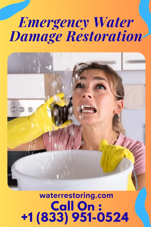 Emergency Water Damage Restoration in Castalia, NC