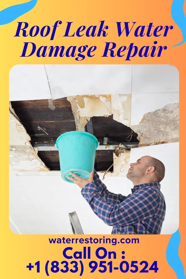 Roof Leak Water Damage Repair in Castalia, NC