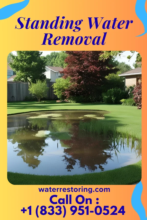 Standing Water Removal in Castalia, NC